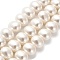 Electroplated Shell Pearl Beads Strands, Potato, Seashell Color, 11.5x13x10mm, Hole: 0.9mm, about 34pcs/strand, 15.63 inch(39.7cm)