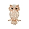 Alloy Rhinestone Brooches, with Cat Eye, Owl Brooches for Women, Golden, 57x32mm
