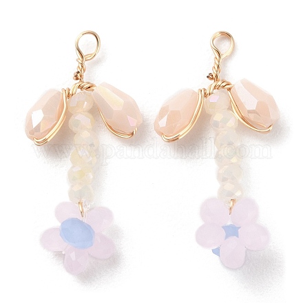 Подвески из стеклянных бусин GLAA-K060-02G-05-1
