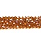 Transparent Electroplate Glass Beads Strands, AB Color Plated, Faceted, Bicone, Dark Orange, 6x6mm, Hole: 1mm, about 45~47pcs/strand, 9.65~9.84 inch(24.5~25cm)