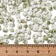 Выпечка краска стеклянные бусины SEED-F006-01A-05-4