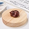 Natural Red Sesame Jasper Display Decorations, Reiki Energy Stone Figurine, Sleeping Cat, 33.5x39x23.5mm