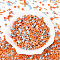 Electroplate Glass Seed Beads, for Jewelry Making, Mixed Shapes, Coral, 1.2~7x2~4.5mm, Hole: 0.9~1.5mm, about 5625pcs/Pound