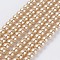 Eco-Friendly Glass Pearl Bead Strands, Round, Dyed, Cotton Cord Threaded, Wheat, 6mm, Hole: 1.2~1.5mm, about 70pcs/strand, 15.7 inch