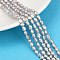 Natural Cultured Freshwater Pearl Beads Strands, Two Sides Polished, Grade 4A+, Silver, 3~4mm, Hole: 0.7mm, about 74~77pcs/strand, 13.86~13.98''(35.2~35.5cm)