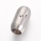 Tarnish Resistant 304 Stainless Steel Locking Tube Magnetic Clasps, Matte Style, Oval, Stainless Steel Color, 18.5x10mm, Hole: 6mm