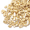 Synthetic Turquoise Gemstone Beads, No Hole Beads, Dyed, Chip, Wheat, 1~15x1~15x0.5~5mm, about 450g/bag