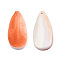 Natural Red Trochus Shell Pendants, Leaf Charm, 23x10.5x2.5~4mm, Hole: 0.8mm
