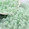 Glass Seed Beads, Imitation Cat Eye, Rondelle, Honeydew, 4x3.3mm, Hole: 1.4mm