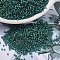 MIYUKI Delica Beads, Cylinder, Japanese Seed Beads, 11/0, (DB2381) Inside Dyed Spruce, 1.3x1.6mm, Hole: 0.8mm, about 2000pcs/10g