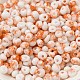 Выпечка краска стеклянные бусины SEED-F006-01A-10-3