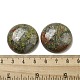 Природные кабошонов Unakite G-C115-02B-27-3