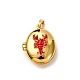 Латунь эмаль Locket подвески KK-K305-05G-2