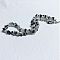 Natural Tourmalinated Quartz Chip Beaded Necklaces for Women, 16.93 inch(43cm)