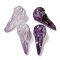 Natural Amethyst Pendants, Bird Head Skull Charms, 47~49x20~22x20~22mm, Hole: 2~2.5mm