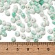 Выпечка краска стеклянные бусины SEED-F006-01A-08-4