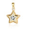 Brass Micro Pave Cubic Zirconia Pendants, Cadmium Free & Nickel Free & Lead Free, Star Charms, Real 18K Gold Plated, 24x19x6mm