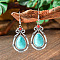 Bohemian Style Alloy Acrylic Dangle Earrings, Antique Silver, Teardrop, 56x23mm