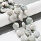 Natural Tree Agate Beads Strands, with Seed Beads, Faceted Hexagonal Cut, Flat Round, 12~12.5x5~6mm, Hole: 1.2~1.4mm, about 27~29pcs/strand, 15.55~15.75 inck(39.5~40cm)