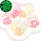 Luminous Transparent Acrylic Beads, with Glitter Powder, Glow in the Dark, Airplane, 28x26mm, about 6pcs/set