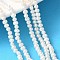 Natural Cultured Freshwater Pearl Beads Strands, Potato, Grade 3A++, Floral White, 3~3.5mm, Hole: 0.7mm, about 104~129pcs/strand, 13.31~15.24''(33.8~38.7cm)