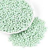 Выпечка краска стеклянные бусины SEED-N007-29I