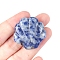 Natural Blue Spot Jasper Carved Healing Shell Shape Figurines, Reiki Energy Stone Display Decorations, 30x30mm