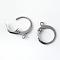 Tarnish Resistant 201 Stainless Steel Leverback Earring Findings, with Loop, Stainless Steel Color, 14.5x12x2mm, Hole: 1mm