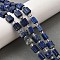 Natural Lapis Lazuli Beads Strands, Square, with Seed Beads, 8x8x5mm, Hole: 1mm, about 16~17pcs/strand, 7.87''~8.07''(20~20.5cm)