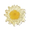Translucent Resin Pendants, Flower Charms, Yellow, 35x33x6mm, Hole: 1.4mm