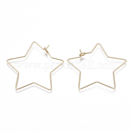 Латунные крючки для сережек KK-T038-426G-1