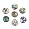 Natural Paua Shell Donut/Pi Disc Charms, 9.5x1mm, Hole: 1.6mm