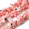 Natural Trochid Shell/Trochus Shell Beads Strands, Dyed, Nuggets, Pink, 5~22x7~15x3~8mm, Hole: 1.2mm, about 65~70pcs/strand, 14.69~15.35''(37.3~39cm)