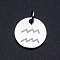 Non-Tarnish 201 Stainless Steel Charms, Twelve Constellations, with Jump Rings, Flat Round, Aquarius, 12x1mm, Hole: 3.5mm