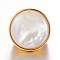 Ion Plating(IP) 304 Stainless Steel Wide Band Rings, with Shell, Round, Size 6~9, Golden, 16~19mm