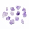 Rough Raw Natural Amethyst Beads, No Hole/Undrilled, Nuggets, 13~23x9~18mm
