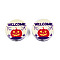 Halloween Printed Natural Wood Beads, Flat Round with Word Welcome & Burial Ground & Pumpkin Pattern, Lemon Chiffon, 19~20x5.9mm, Hole: 2~2.2mm