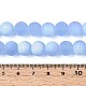 Матовые прозрачные стеклянные бусины GLAA-T032-T10mm-MBB04-4
