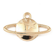 Подвески из сплава  FIND-E041-12KCG