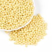 Выпечка краска стеклянные бусины SEED-N007-29G