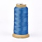 Polyester Thread, for Custom Woven Jewelry Making, Dodger Blue, 0.7mm, about 310m/roll