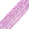 Natural Freshwater Shell Dyed Beads Strands, Column, Plum, 4.8x3mm, Hole: 0.8mm, about 78pcs/strand, 14.96''(38cm)