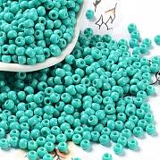 Выпечка краска стеклянные бусины SEED-H002-I-B507