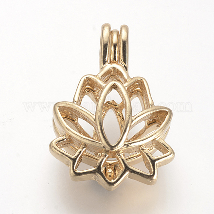 Литые диффузор Locket подвески PALLOY-S062-40G-1