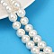 AB Color Plated Shell Pearl Round Beads Strands, Floral White, 12mm, Hole: 1mm, about 34pcs/strand, 15.94''(40.5cm)