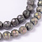 Electroplate Natural Labradorite Round Bead Strands, Faceted, 6mm, Hole: 1mm, about 62pcs/strand, 14.9 inch