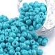 Выпечка краска стеклянные бусины SEED-S003-K10-1