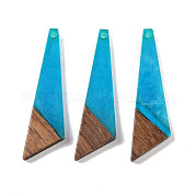 Подвески из смолы и дерева WOOD-F015-15C