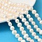 Natural Cultured Freshwater Pearl Beads Strands, Two Sides Polished, Grade 4A+, Old Lace, 8~9mm, Hole: 0.6mm, about 47~49pcs/strand, 13.82''~14.06''(35.1~35.7cm)