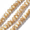 Natural Trochid Shell/Trochus Shell Beads Strands, Rondelle, BurlyWood, 6x4mm, Hole: 0.8mm, about 107~110pcs/strand, 15.75 inch(40cm)
